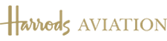 Aircraft Detailer / Hangar Assistant Logo
