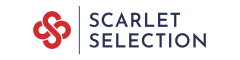 Service Engineer, Access Control Engineer, Security Engineer Logo