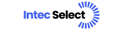 Data Engineer Logo